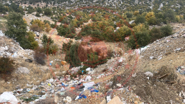 Konya Beyşehir Üzümlü Kasabası Milli Emlak'tan Satılık 386,37 m2 Arsa