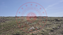 Kayseri Develi Kabaklı Mahallesi Milli Emlak'tan Satılık 10.507,39 m2 Tarla