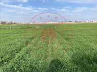 Kayseri Melikgazi Anbar Mahallesi Milli Emlak'tan Satılık 182,26 m2 Tarla