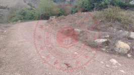 Kocaeli İzmit Gökceviran Köyü Milli Emlak'tan Satılık 547,07 m2 Tarla