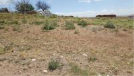 Kırşehir Merkez Kalankaldı Köyü Milli Emlak'tan Satılık 444,26 m2 Tarla