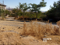 Ankara Beypazarı Adaören Köyü Milli Emlak'tan Satılık 211,23 m2 Tarla