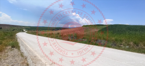 Kırıkkale Balışeyh Kargın Köyü Milli Emlak'tan Satılık 2.135,42 m2 Tarla