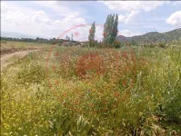 Kırıkkale Keskin Müsellim Köyü Milli Emlak'tan Satılık 1.213,84 m2 Tarla
