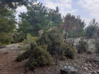 Manisa Selendi Çamlıca Mahallesi Milli Emlak'tan Satılık 4.482,00 m2 Tarla