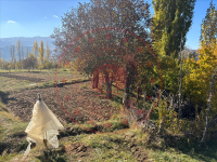 Bitlis Merkez Yolalan - Düz (Müşkünüs) Mahallesi Milli Emlak'tan Satılık 2.544,62 m2 Tarla