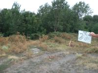 Kırklareli Vize Sergen - Merkez Mahallesi Milli Emlak'tan Satılık 320,00 m2 Arsa