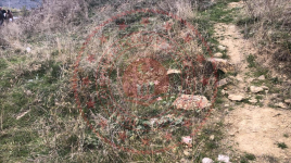Erzincan Refahiye Şahverdi Köyü Milli Emlak'tan Satılık 526,25 m2 Tarla