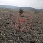 Kütahya Merkez Kızılcaören Köyü Milli Emlak'tan Satılık 6.347,00 m2 Tarla