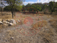 Ankara Gölbaşı Dikilitaş Mahallesi Milli Emlak'tan Satılık 888,15 m2 Tarla