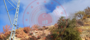 Karaman Merkez Bayır Köyü Milli Emlak'tan Satılık 185,34 m2 Tarla