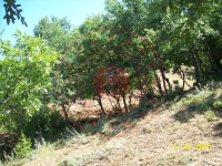 Konya Seydişehir Çatmakaya Köyü Milli Emlak'tan Satılık 1.774,95 m2 Tarla