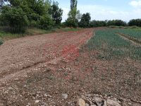 Erzincan İliç Altıntaş Köyü Milli Emlak'tan Satılık 1.950,31 m2 Tarla