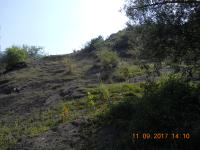 Artvin Ardanuç Ovacık Köyü Milli Emlak'tan Satılık 879,18 m2 Tarla