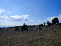 Amasya Merkez Ermiş Köyü Milli Emlak'tan Satılık 14.854,34 m2 Tarla