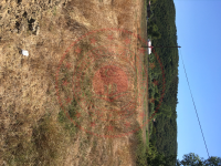 Çanakkale Çan Okçular Köyü Milli Emlak'tan Satılık 259,00 m2 Tarla