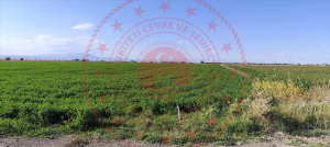 Konya Meram Çarıklar Mahallesi Milli Emlak'tan Satılık 3.519,58 m2 Arsa