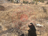 Erzincan Refahiye Şahverdi Köyü Milli Emlak'tan Satılık 800,00 m2 Tarla