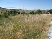 Kütahya Merkez Güllüdere Köyü Milli Emlak'tan Satılık 2.841,32 m2 Tarla