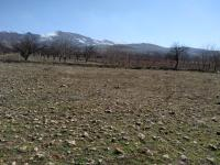 Malatya Yeşilyurt Kırlangıç Mahallesi Milli Emlak'tan Satılık 2.495,00 m2 Tarla