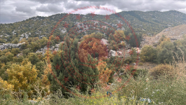 Konya Beyşehir Üzümlü Kasabası Milli Emlak'tan Satılık 429,44 m2 Arsa