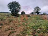 Kırşehir Akçakent Hasanali Köyü Milli Emlak'tan Satılık 4.047,94 m2 Tarla