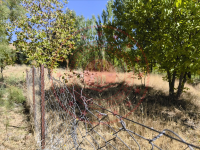 Bingöl Merkez Çayboyu Köyü Milli Emlak'tan Satılık 1.491,27 m2 Arsa