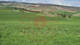 Çorum Merkez Güzelyurt Köyü Milli Emlak'tan Satılık 6.411,59 m2 Tarla