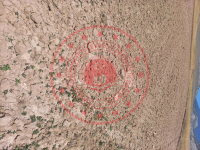 Eskişehir Alpu Büğdüz Mahallesi Milli Emlak'tan Satılık 8.193,80 m2 Tarla