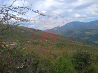 Karabük Yenice Güney Köyü Milli Emlak'tan Satılık 191,63 m2 Tarla