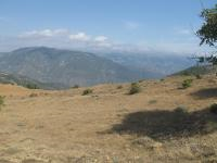 Amasya Merkez Yassıçal - Gölönü Mahallesi Milli Emlak'tan Satılık 3.302,59 m2 Tarla