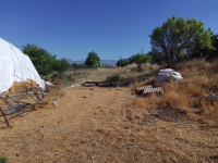 Denizli Acıpayam Ucarı Köyü Milli Emlak'tan Satılık 1.289,17 m2 Tarla