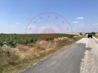 Edirne Uzunköprü Turnacı Köyü Milli Emlak'tan Satılık 12.052,22 m2 Tarla