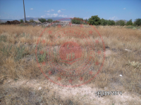 Konya Beyşehir Esence Kasabası Milli Emlak'tan Satılık 2.382,36 m2 Arsa