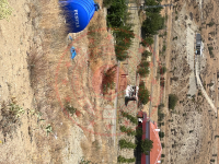 Ankara Kalecik Koyunbaba  Mahallesi Milli Emlak'tan Satılık 549,99 m2 Tarla