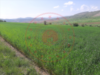 Sivas Merkez Eğribucak Köyü Milli Emlak'tan Satılık 19.973,76 m2 Tarla