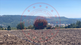 Kütahya Merkez Damlalıkaraağaç Köyü Milli Emlak'tan Satılık 7.018,14 m2 Tarla