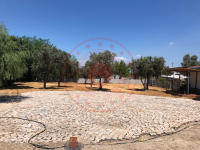 Kocaeli Darıca Cami Mahallesi Milli Emlak'tan Satılık 830,39 m2 Tarla