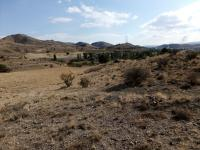 Kırıkkale Yahşihan Hacıbalı Köyü Milli Emlak'tan Satılık 8.758,87 m2 Tarla