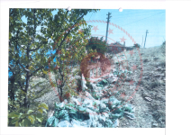 Afyonkarahisar Merkez Işıklar - Atatürk Mahallesi Milli Emlak'tan Satılık 267,06 m2 Arsa