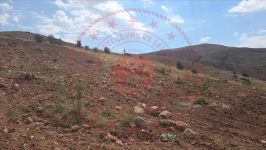 Malatya Hekimhan Yeşilkale Köyü Milli Emlak'tan Satılık 11.180,24 m2 Tarla