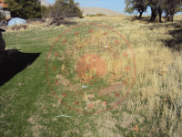 Afyonkarahisar Dinar Akçin Köyü Milli Emlak'tan Satılık 2.179,09 m2 Tarla