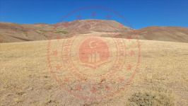 Erzincan Tercan Aktaş Köyü Milli Emlak'tan Satılık 13.428,04 m2 Tarla