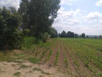 Amasya Merkez Kayabaşı Köyü Milli Emlak'tan Satılık 1.020,69 m2 Tarla