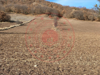 Tokat Artova Evlidere Köyü Milli Emlak'tan Satılık 8.203,89 m2 Tarla