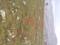 Şırnak Güçlükonak Gümüşyazı Köyü Milli Emlak'tan Satılık 674,60 m2 Tarla