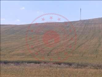Kırıkkale Keskin Yenialibudak Köyü Milli Emlak'tan Satılık 10.779,91 m2 Tarla