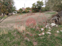 Afyonkarahisar Başmakçı Hırka Köyü Milli Emlak'tan Satılık 1.060,00 m2 Tarla