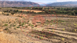 Çorum Merkez Tozluburun Köyü Milli Emlak'tan Satılık 2.446,98 m2 Tarla