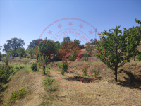 Amasya Merkez Aydınlık Köyü Milli Emlak'tan Satılık 1.225,92 m2 Tarla